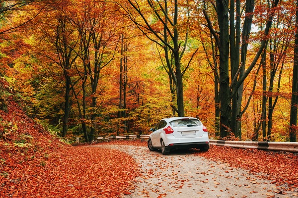 Conduire en automne