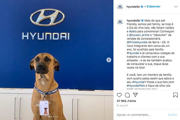 Hyundai Brésil : un chien employé dans une concession